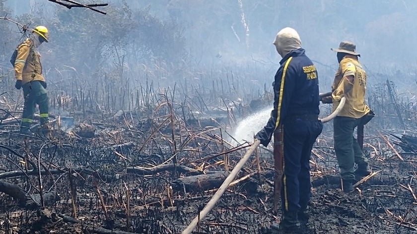Atienden incendio en área protegida de Parques Nacionales Naturales del sector Albercas en Barranquilla