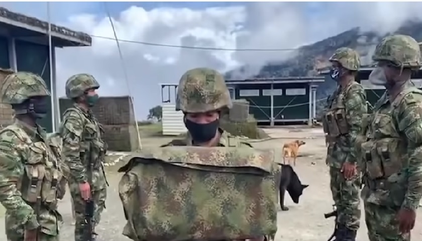 4 meses tenía la perrita que un soldado lanzó al aire, le tocó enterrar su cuerpo como "castigo"