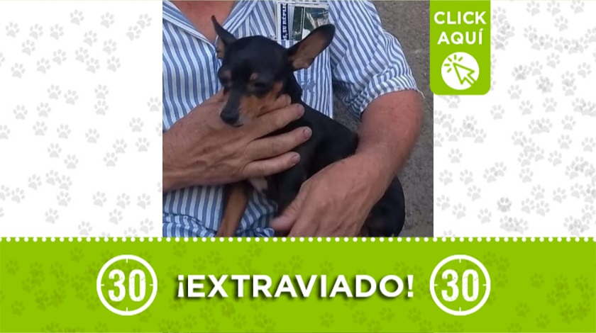 "Niño" perdido en Girardota