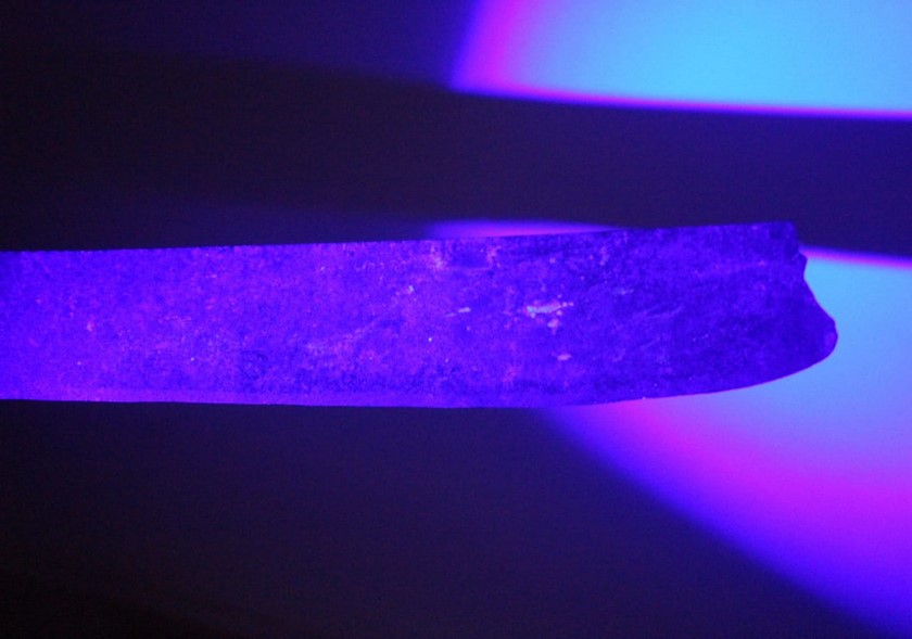 Profesora Machete Turbo