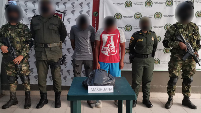 Tipos marihuana Urabá