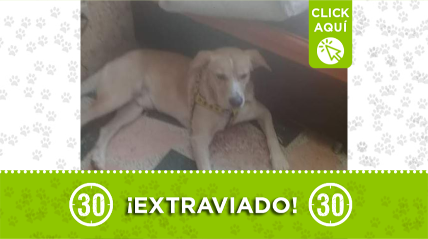 'Demon' se perdió en Niquía Parte Baja