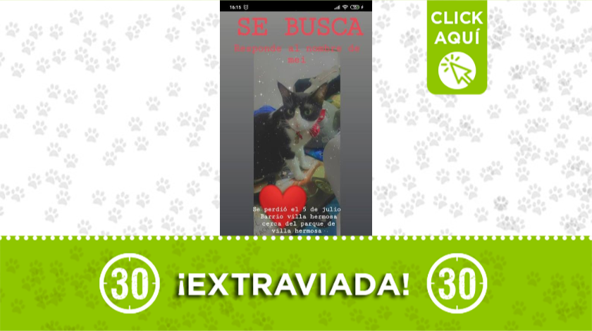 'Mei' se extravió en Villa Hermosa
