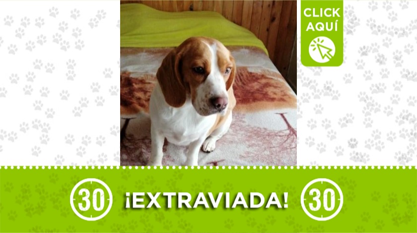 'Alisson' perdida en Castilla