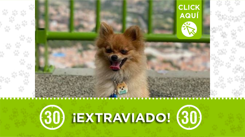 'Bruno' se perdió en Copacabana