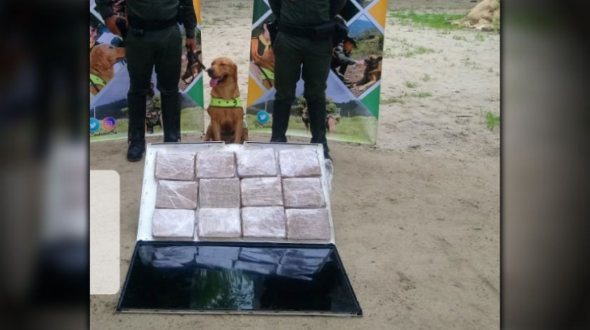 'Sintonizados' con el ilícito, pretendían llevar marihuana en un televisor