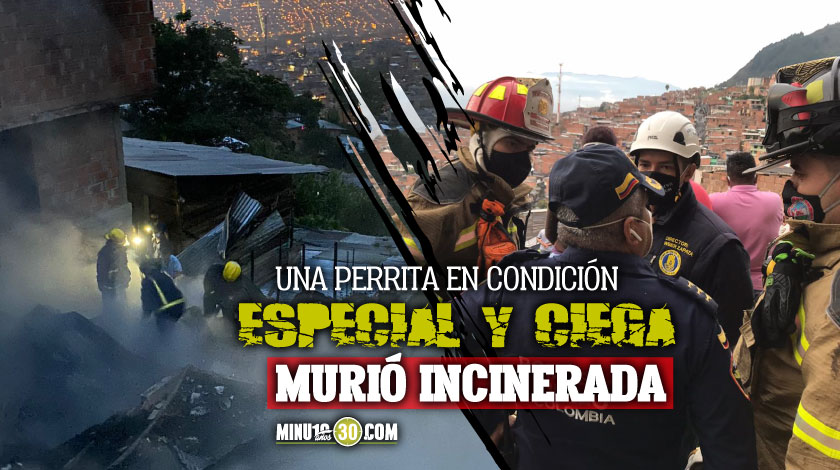 ¡No fueron 6 sino 8 las viviendas destruidas! Entregan el saldo que dejó terrible incendio en el barrio París de Bello