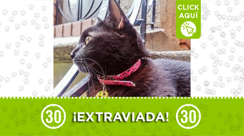 "Nutella" perdida en Envig