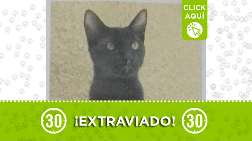 "Dorian" perdido en Bello