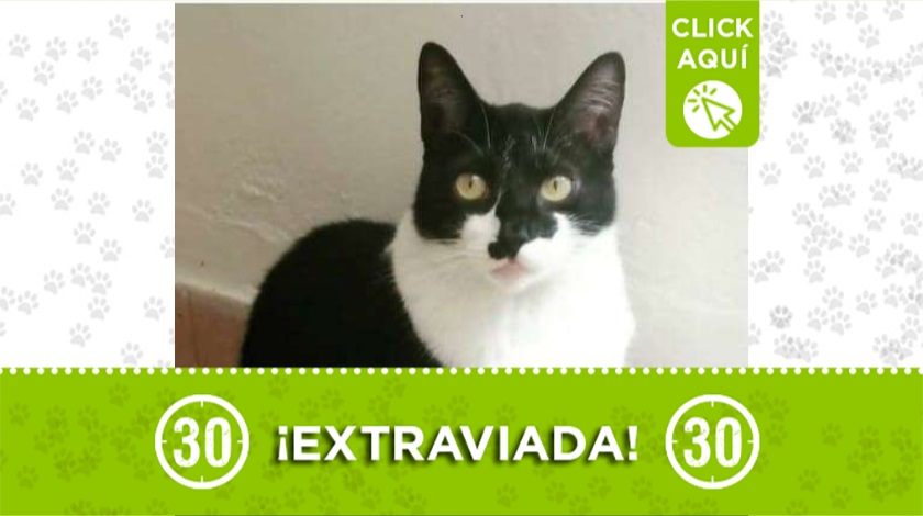 "Medea" perdida Envigado