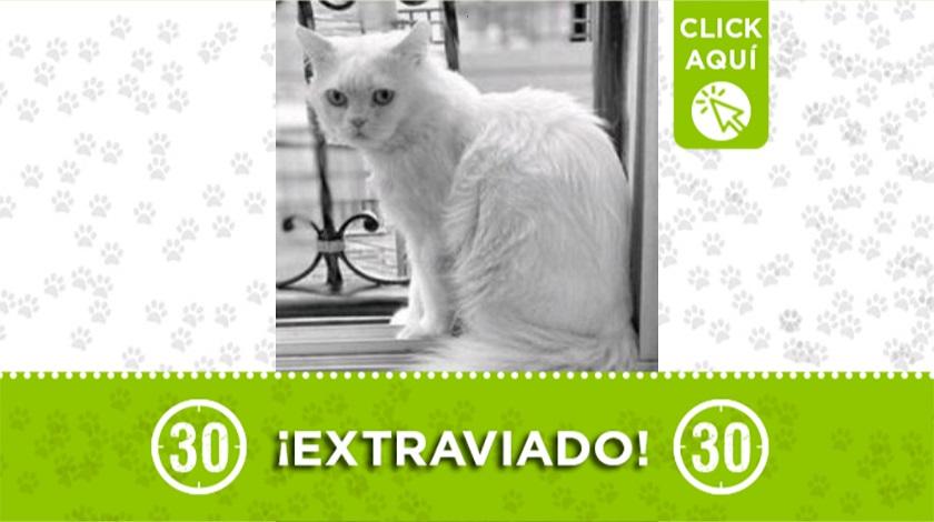 'Martín' perdido en Itagüí