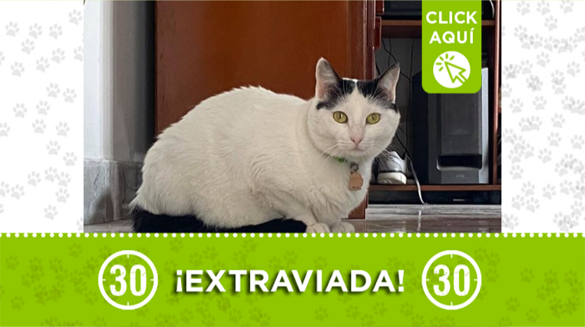 'Helena' se extravió