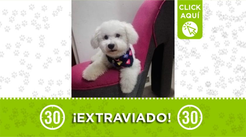 'Junior' perdido en Robledo