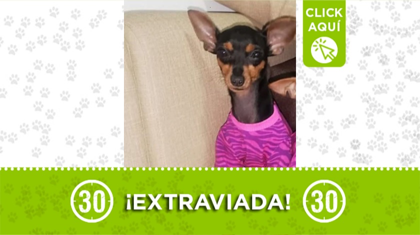 'Luci' perdida en Caicedo