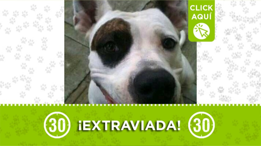 'Natacha' perdida en Campo Valdés