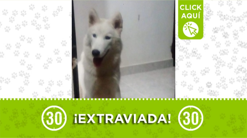 'Lucero' perdida en Itagüí