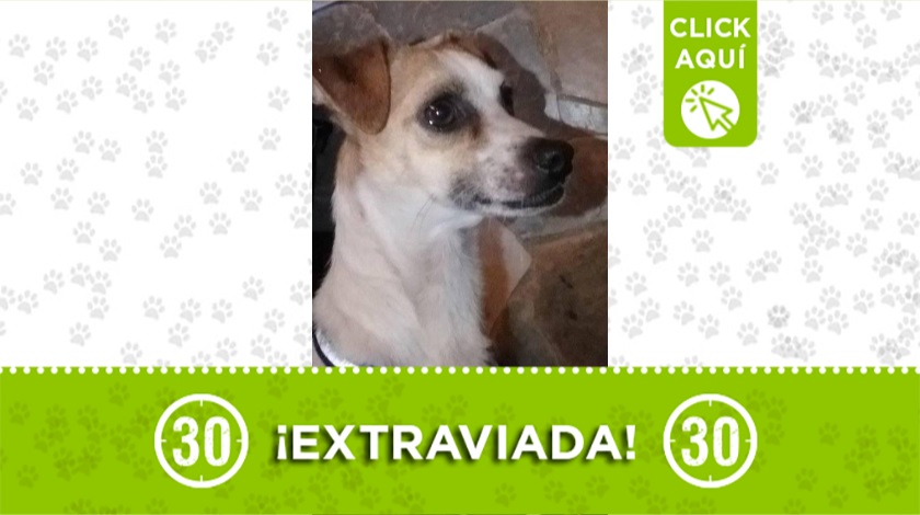 "Susy" perdida en Medellín