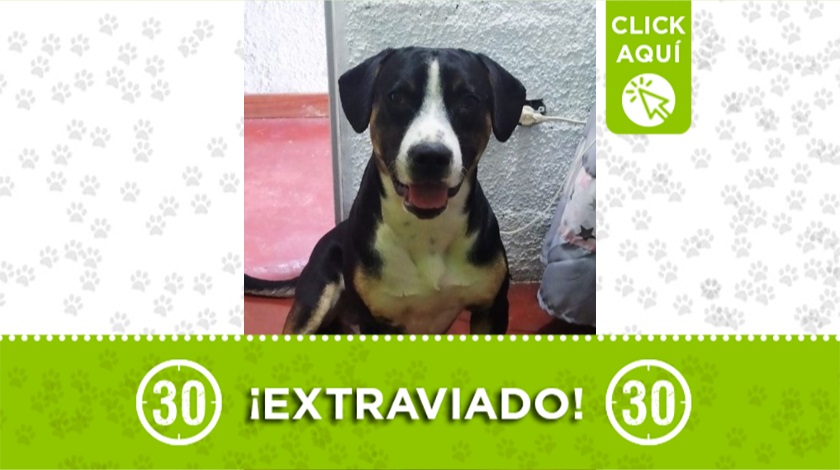 'Roger' perdido en San Javier