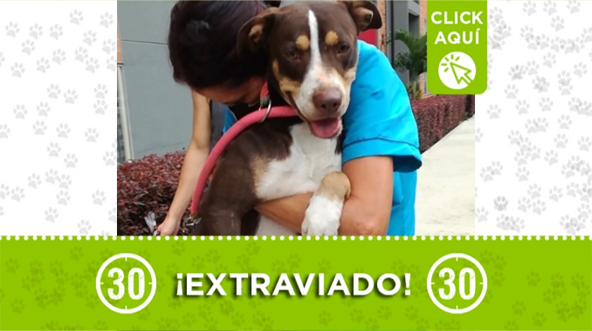 'Thor' perdido en Itagüí