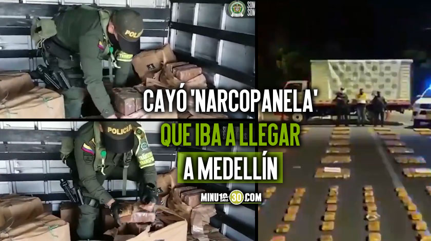 VIDEO: 400 kilos de la marihuana incautada en el Cauca venían para Medellín metidos en pacas de panela 1 Panela llega de Marihuana iba a llegar a Medellin desde el Cauca