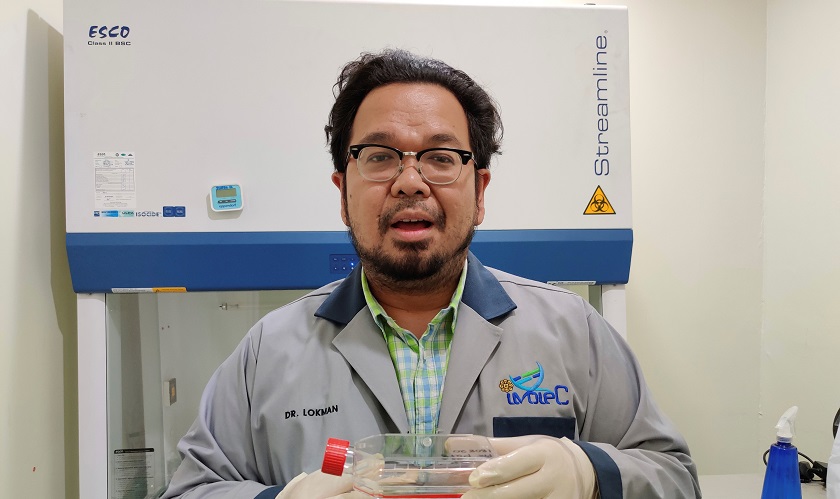 Científicos quieren clonar al rinoceronte de Sumatra extinto en Malasia