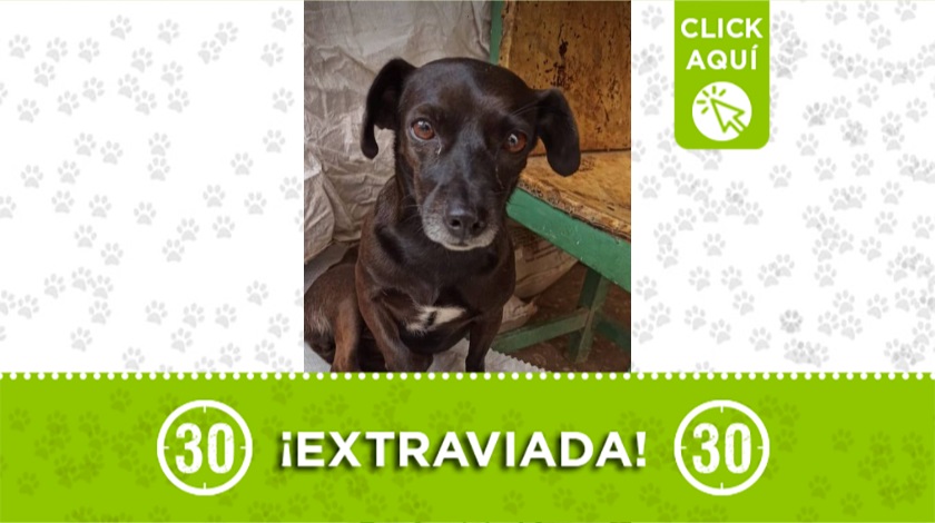 'Culpa' perdida por la 33