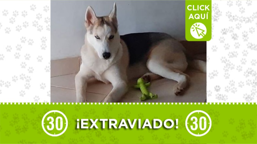 'Danger' perdido en Manrique