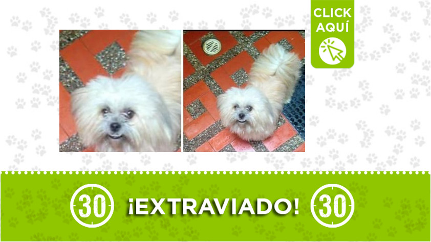 'Douglas' perdido en Caicedo