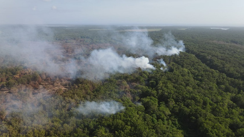 Una semana ardiendo completa el Parque Isla Salamanca, y no se ve que vaya a parar