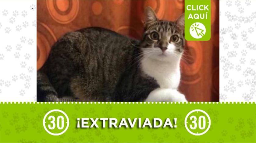 'Laia' perdida en San Javier