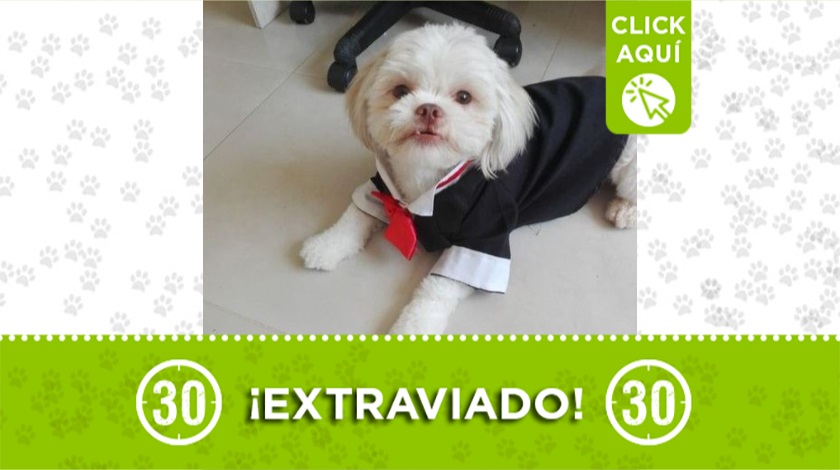 'Lui' perdido en el parque La Frontera