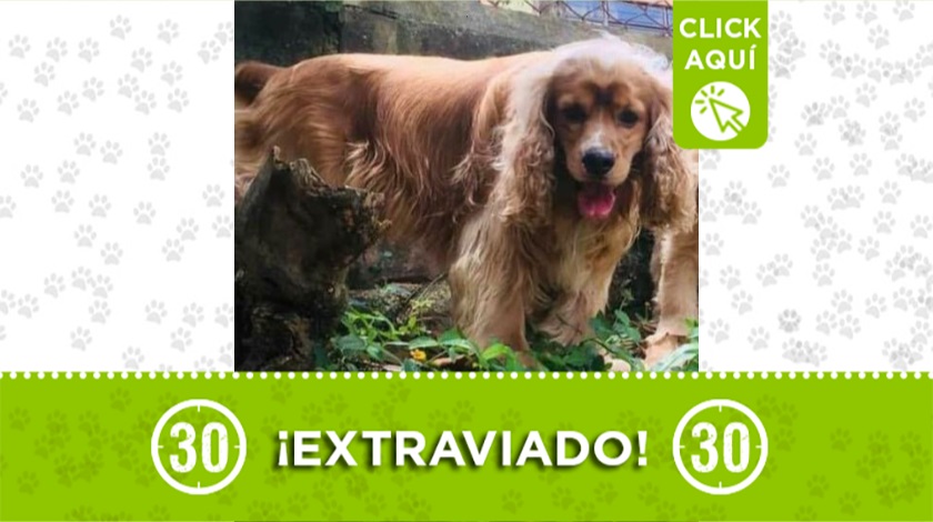 'Maxxi' perdido en Barbosa