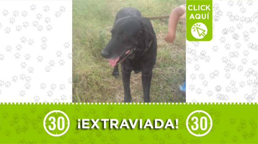 'Niña' perdida en Caicedo