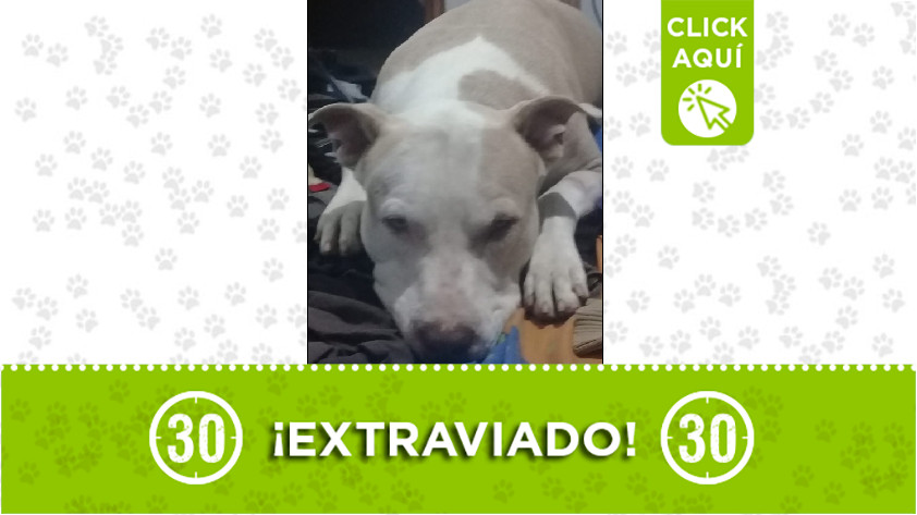 'Ares' perdido en Aranjuez