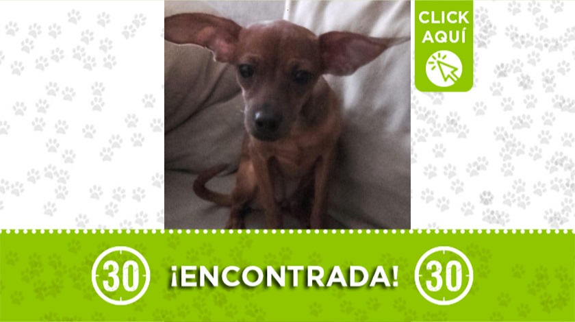 Encontrada en San Javier