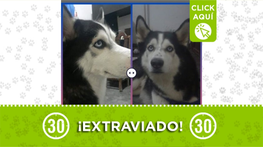 'Coco' perdido en Villa Hermosa