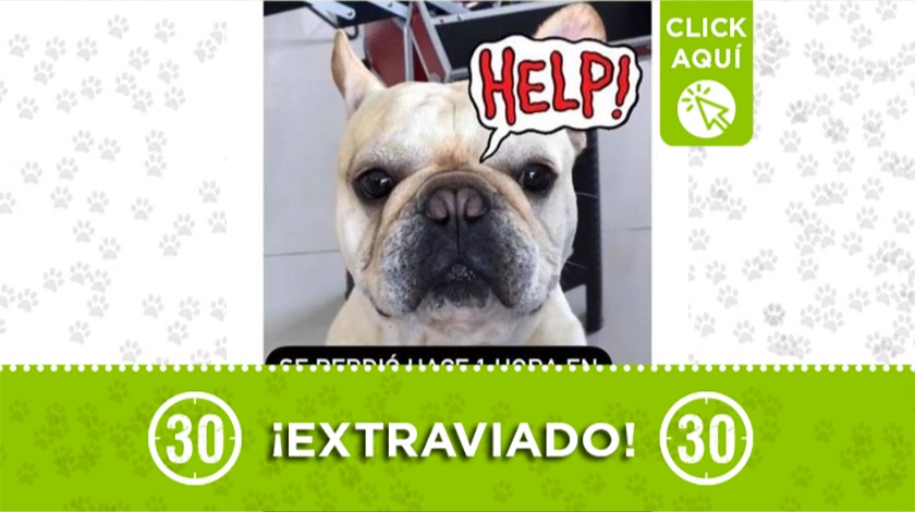 'René' perdido en El Retiro