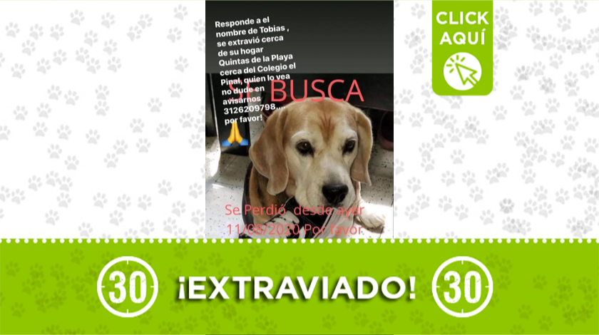 'Tobías' se perdió en por urbanización Quintas de la Playa