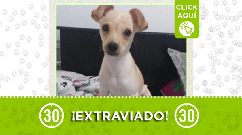 'Tonny' perdido en Itaguí