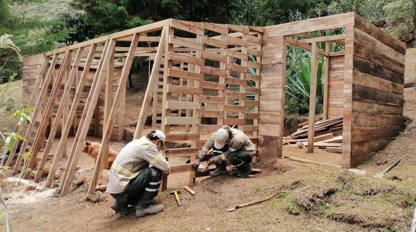 En Medellín mejorarán infraestructura y capacidad operativa en los viveros de los cerros tutelares