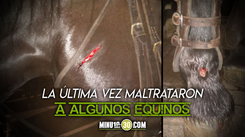 ¡Atención! Daniel Quintero pidió a la policía no usar caballos en las manifestaciones