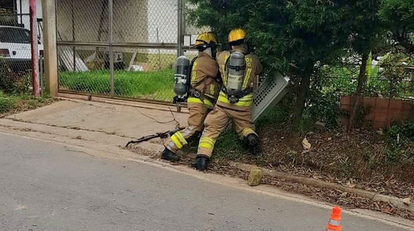 FOTOS: ¡Qué susto! Fuga de gas en una vereda de Rionegro causó pánico por minutos, las autoridades ya la controlaron