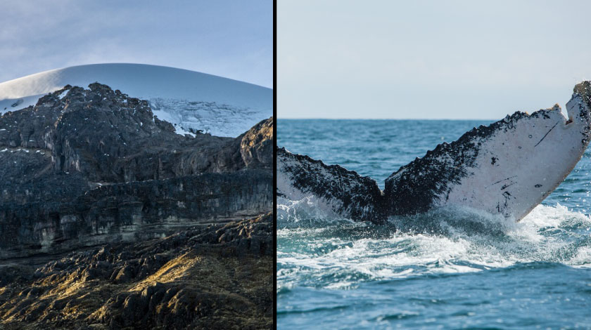 ¡No todo abrió! Parques Naturales que son ecoturísticos continúan cerrados al público