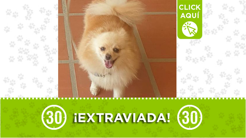 'Angie' perdida en Santa Fe de Antioquia