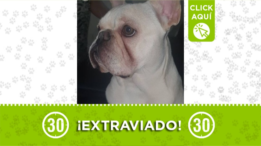 'Braulio' perdido en Brisas de Robledo