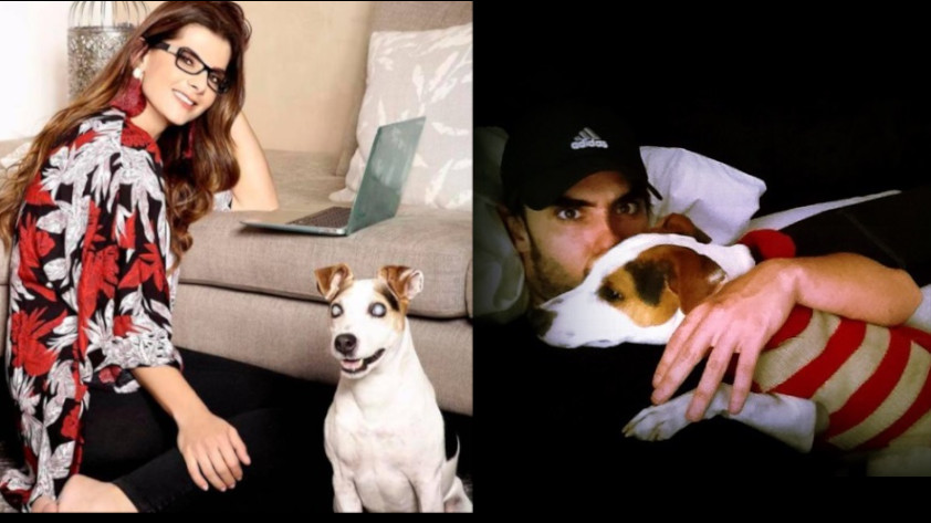 VIDEOS: ¡Con profunda tristeza! Carolina Cruz y Lincoln Palomeque despidieron a su perrito ‘Dandy’