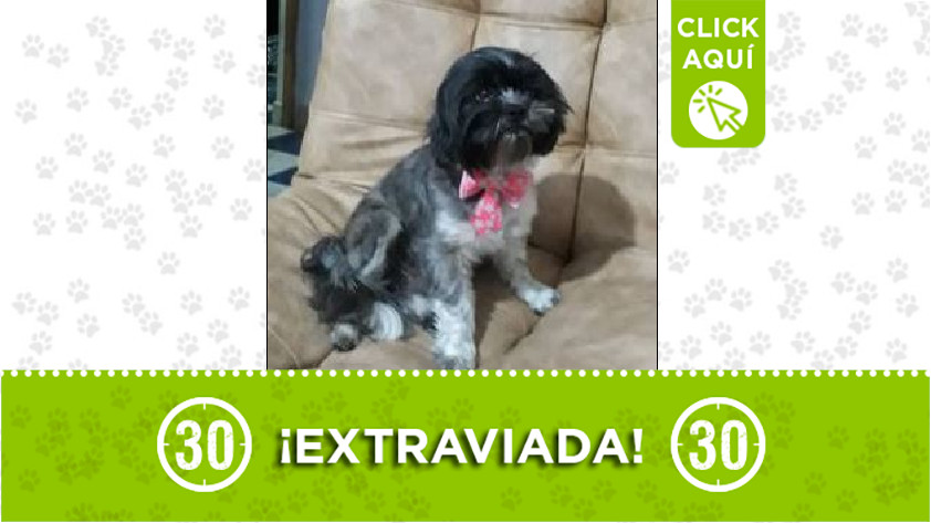 'Dana' perdida en Bello