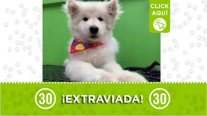 'Danna' perdida en El Retiro