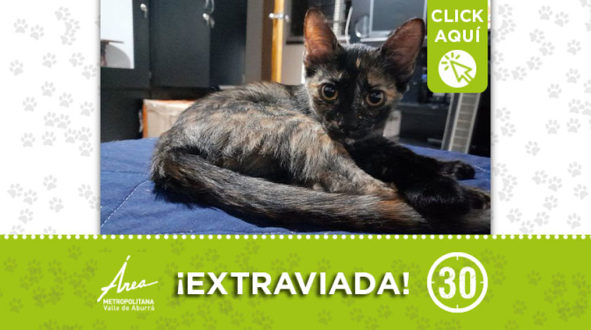 'Mía' se perdió durante la tarde del jueves 9 de septiembre