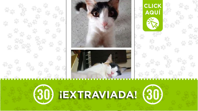 'Nyu' perdida en Robledo